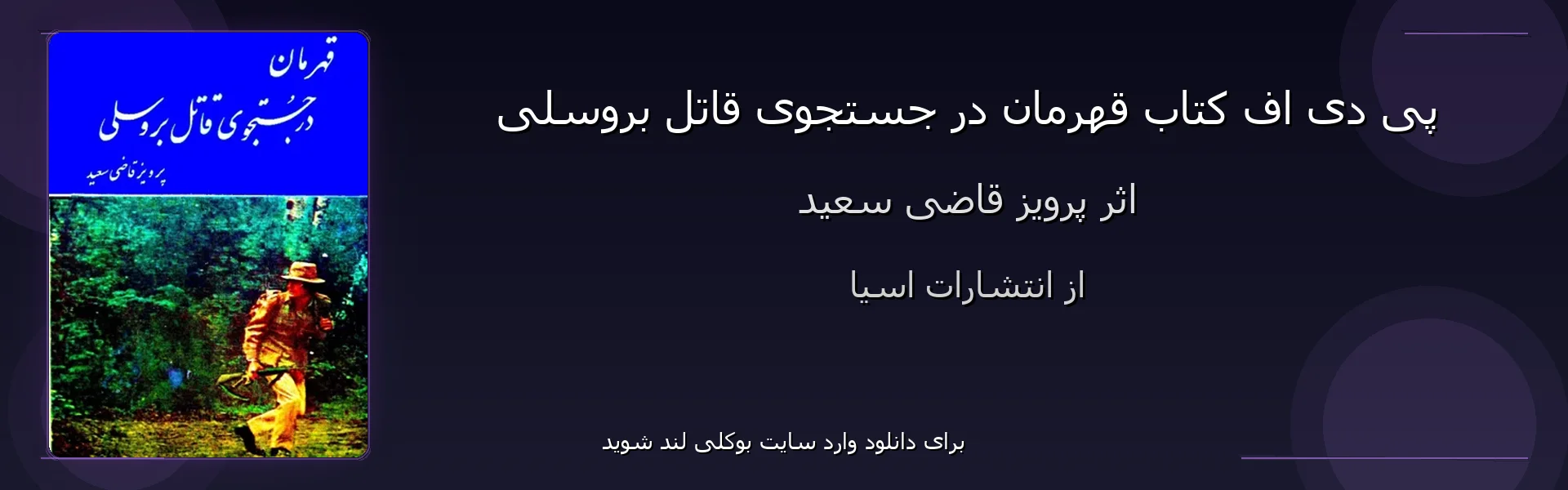 قهرمان در جستجوی قاتل بروسلی - بنر - فایل استور